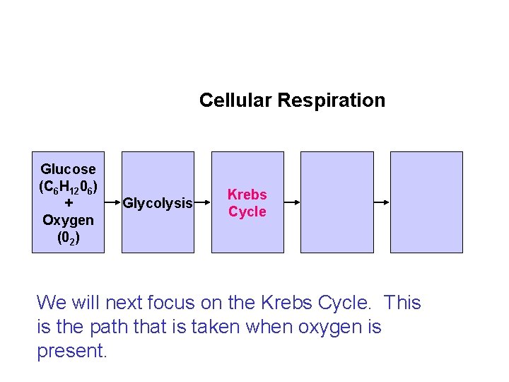 Flowchart Section 9 -2 Cellular Respiration Glucose (C 6 H 1206) + Oxygen (02)