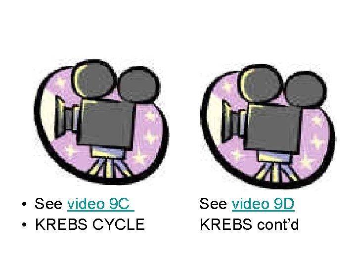  • See video 9 C • KREBS CYCLE See video 9 D KREBS