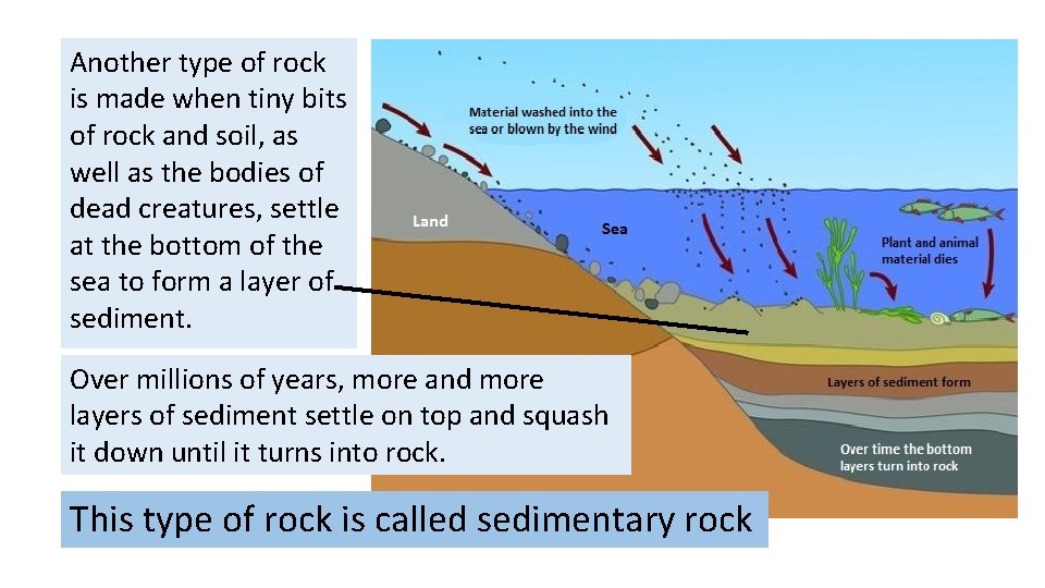 Another type of rock is made when tiny bits of rock and soil, as