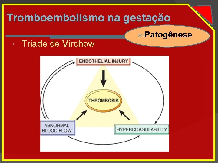Tromboembolismo na gestação Triade de Virchow Patogênese 