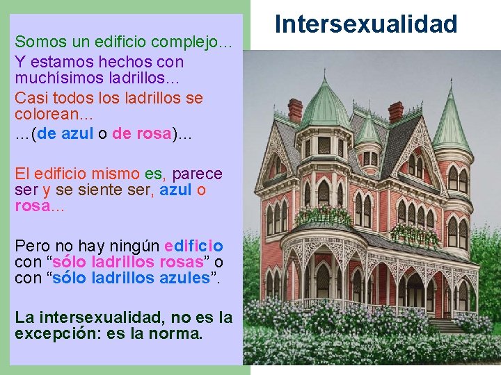 Somos un edificio complejo… Y estamos hechos con muchísimos ladrillos… Casi todos ladrillos se