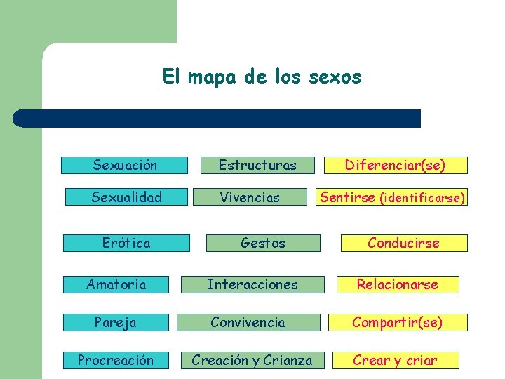 El mapa de los sexos Sexuación Estructuras Sexualidad Vivencias Erótica Gestos Diferenciar(se) Sentirse (identificarse)