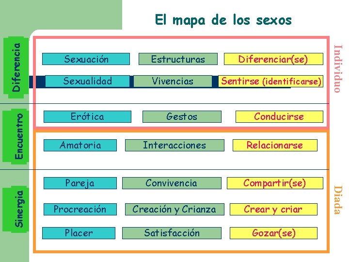 Encuentro Estructuras Sexualidad Vivencias Erótica Gestos Diferenciar(se) Sentirse (identificarse) Conducirse Amatoria Interacciones Relacionarse Pareja