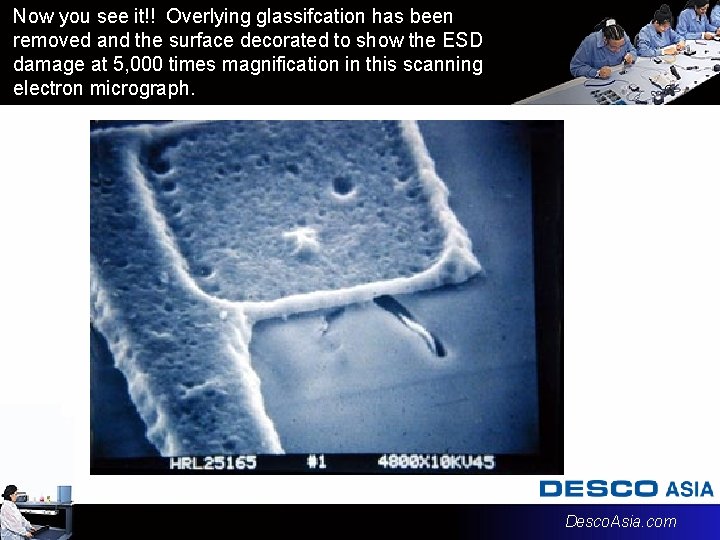 Now you see it!! Overlying glassifcation has been removed and the surface decorated to Now you see it!! Overlying glassifcation has been removed and the surface decorated to
