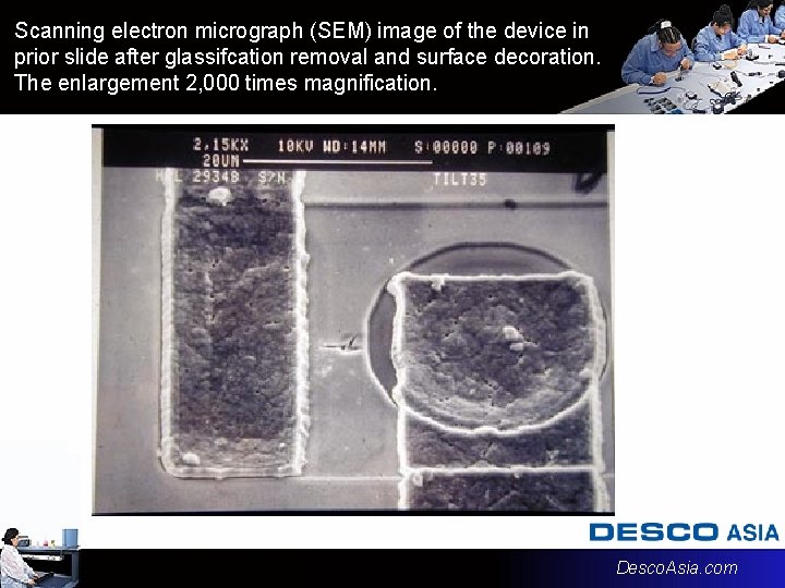 Scanning electron micrograph (SEM) image of the device in prior slide after glassifcation removal Scanning electron micrograph (SEM) image of the device in prior slide after glassifcation removal