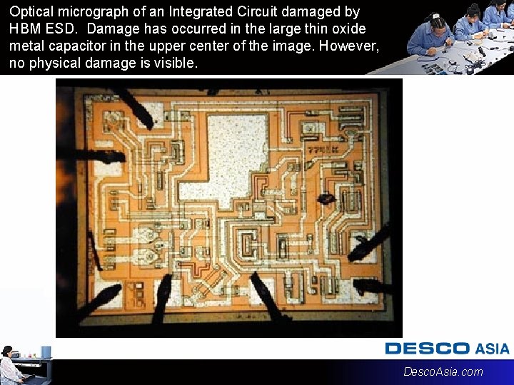 Optical micrograph of an Integrated Circuit damaged by HBM ESD. Damage has occurred in