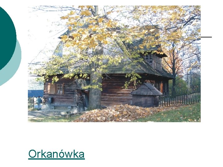 Orkanówka 