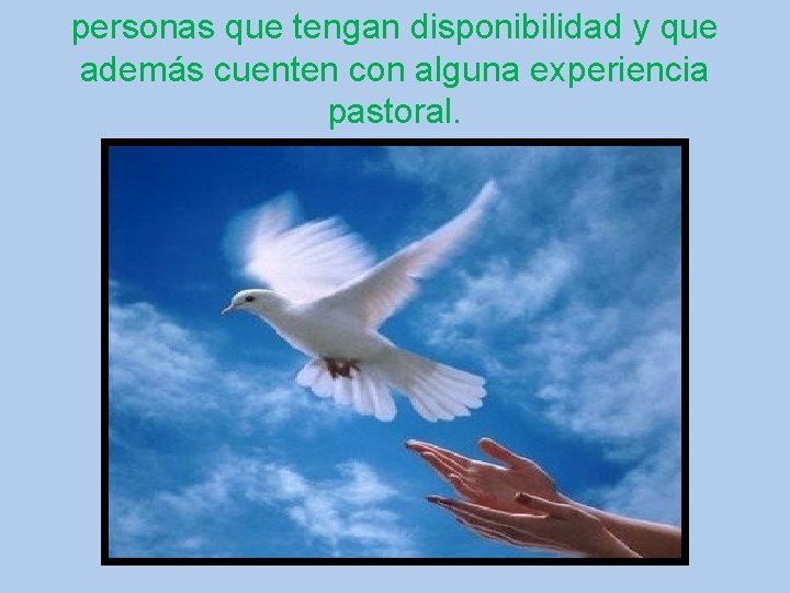 personas que tengan disponibilidad y que además cuenten con alguna experiencia pastoral. 