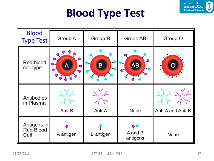 Blood Type Test 22/04/2018 OPT 435 L 11 – W 14 17 