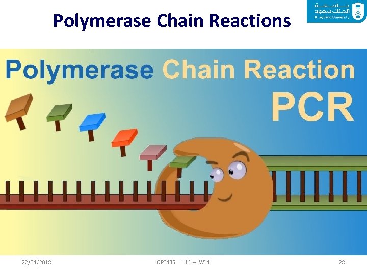 Polymerase Chain Reactions 22/04/2018 OPT 435 L 11 – W 14 28 