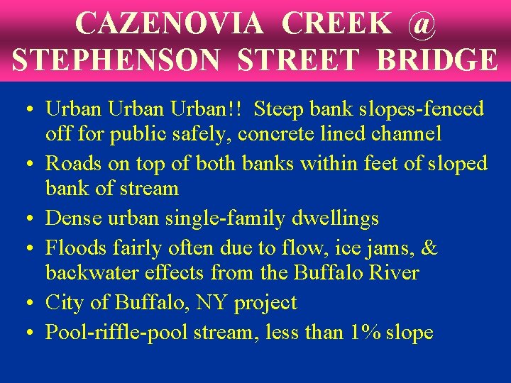 CAZENOVIA CREEK @ STEPHENSON STREET BRIDGE • Urban!! Steep bank slopes-fenced off for public