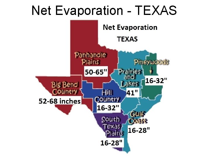 Net Evaporation - TEXAS 