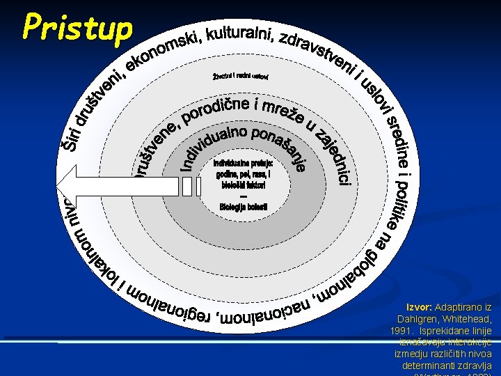 Pristup Tokom celog života Izvor: Adaptirano iz Dahlgren, Whitehead, 1991. Isprekidane linije iznačavaju interakcije