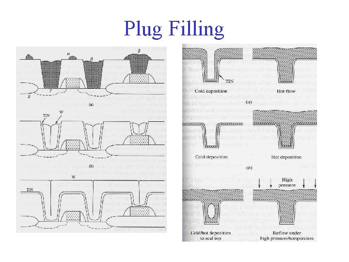 Plug Filling 