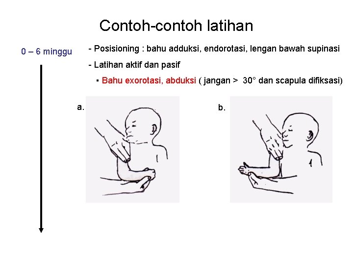 Contoh-contoh latihan - Posisioning : bahu adduksi, endorotasi, lengan bawah supinasi 0 – 6