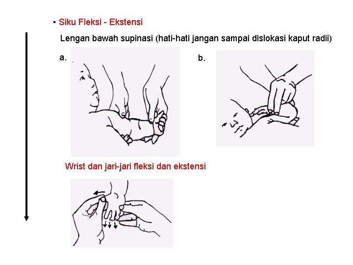 ▪ Siku Fleksi - Ekstensi Lengan bawah supinasi (hati-hati jangan sampai dislokasi kaput radii)