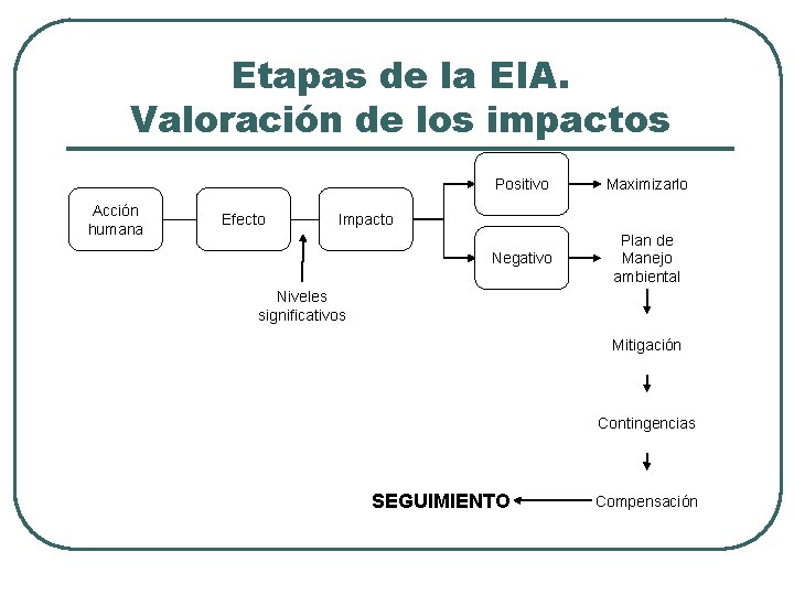 Etapas de la EIA. Valoración de los impactos Acción humana Efecto Positivo Maximizarlo Negativo