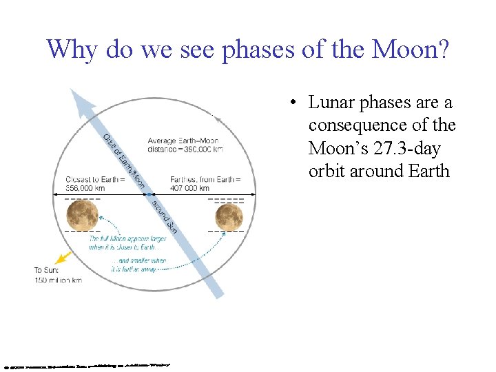 Why do we see phases of the Moon? • Lunar phases are a consequence