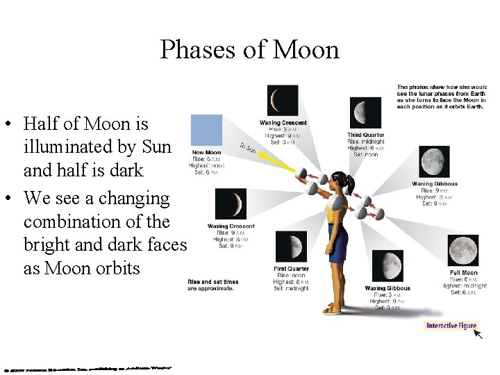 Phases of Moon • Half of Moon is illuminated by Sun and half is