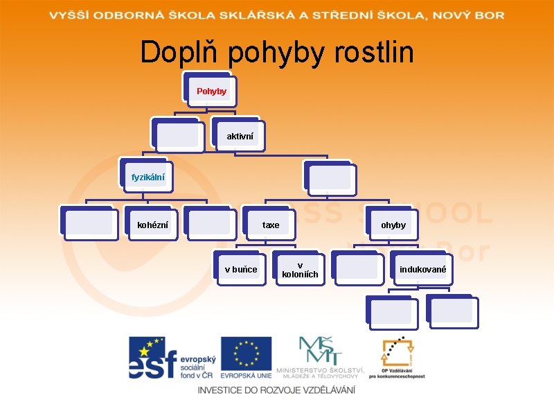 Doplň pohyby rostlin Pohyby aktivní fyzikální kohézní taxe v buňce ohyby v koloniích indukované Doplň pohyby rostlin Pohyby aktivní fyzikální kohézní taxe v buňce ohyby v koloniích indukované