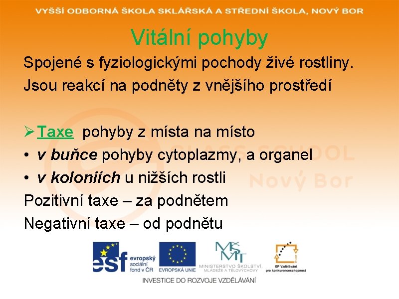 Vitální pohyby Spojené s fyziologickými pochody živé rostliny. Jsou reakcí na podněty z vnějšího