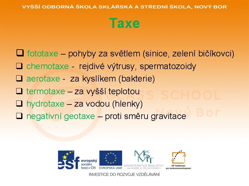 Taxe q fototaxe – pohyby za světlem (sinice, zelení bičíkovci) q q q chemotaxe Taxe q fototaxe – pohyby za světlem (sinice, zelení bičíkovci) q q q chemotaxe