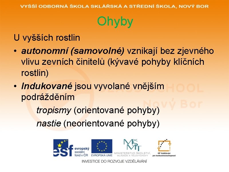 Ohyby U vyšších rostlin • autonomní (samovolné) vznikají bez zjevného vlivu zevních činitelů (kývavé