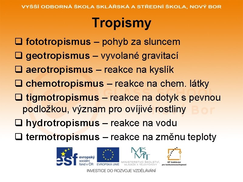 Tropismy q fototropismus – pohyb za sluncem q geotropismus – vyvolané gravitací q aerotropismus