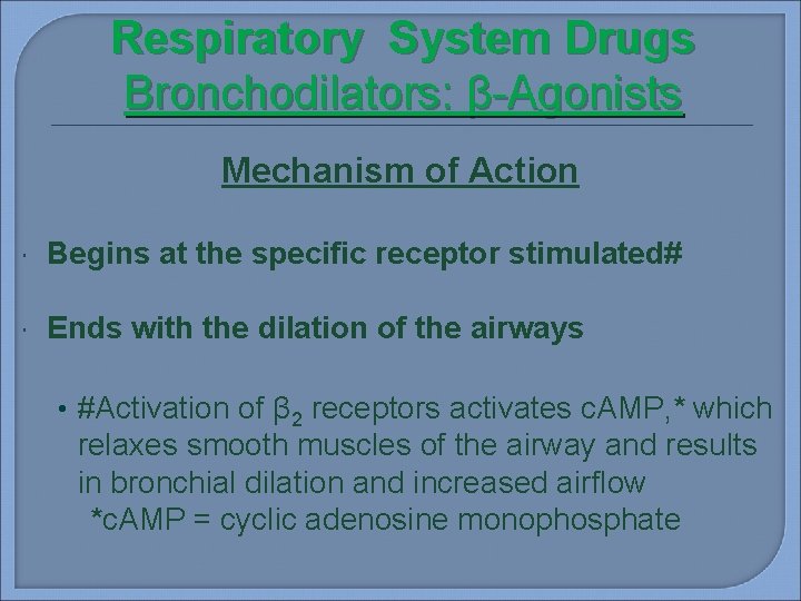 Respiratory System Drugs Bronchodilators: β-Agonists Mechanism of Action Begins at the specific receptor stimulated#