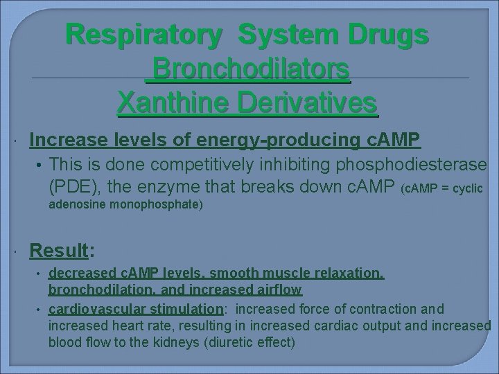 Respiratory System Drugs Bronchodilators Xanthine Derivatives Increase levels of energy-producing c. AMP • This