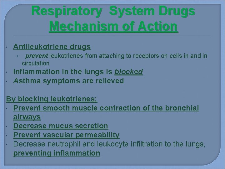 Respiratory System Drugs Mechanism of Action Antileukotriene drugs • prevent leukotrienes from attaching to