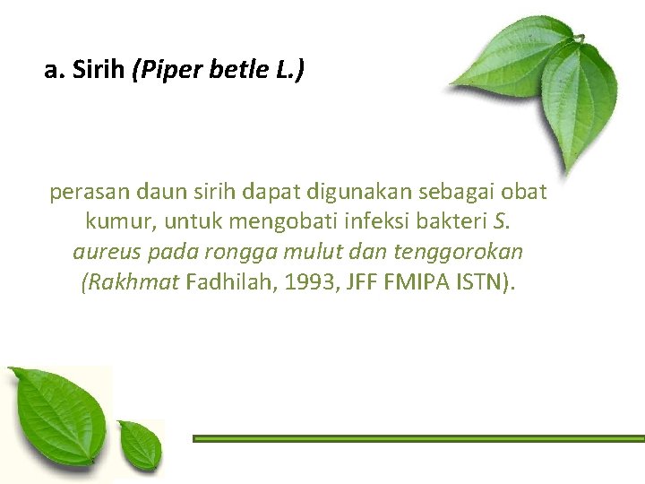 a. Sirih (Piper betle L. ) perasan daun sirih dapat digunakan sebagai obat kumur,