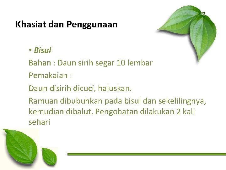 Khasiat dan Penggunaan • Bisul Bahan : Daun sirih segar 10 lembar Pemakaian :