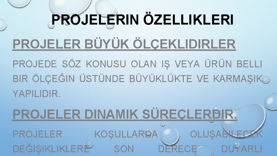 PROJELERIN ÖZELLIKLERI PROJELER BÜYÜK ÖLÇEKLIDIRLER PROJEDE SÖZ KONUSU OLAN IŞ VEYA ÜRÜN BELLI BIR