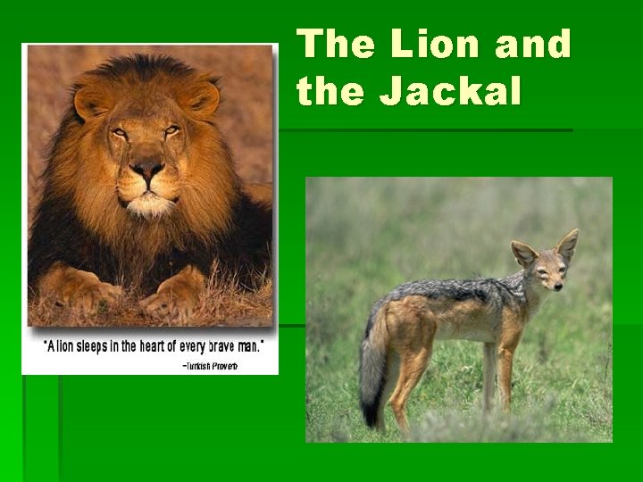 The Lion and the Jackal 