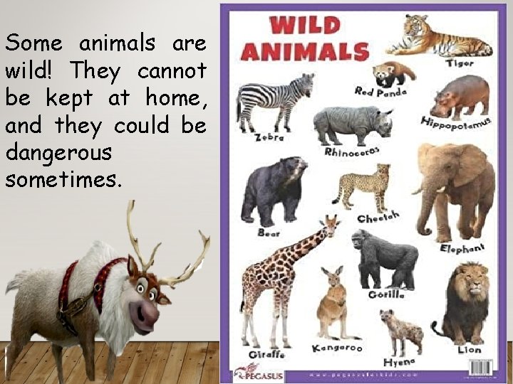 Some animals are wild! They cannot be kept at home, and they could be