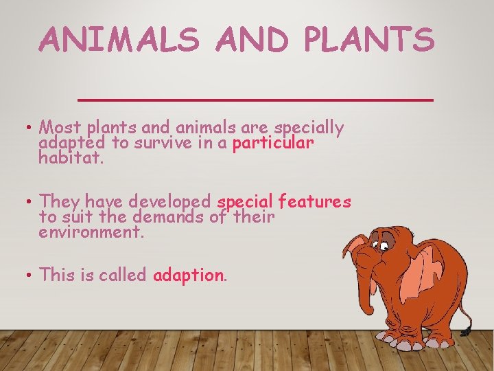 ANIMALS AND PLANTS • Most plants and animals are specially adapted to survive in