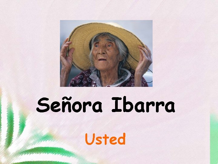 Señora Ibarra Usted 