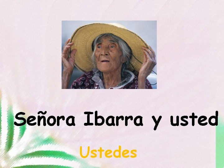 Señora Ibarra y usted Ustedes 