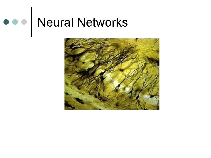 Neural Networks 