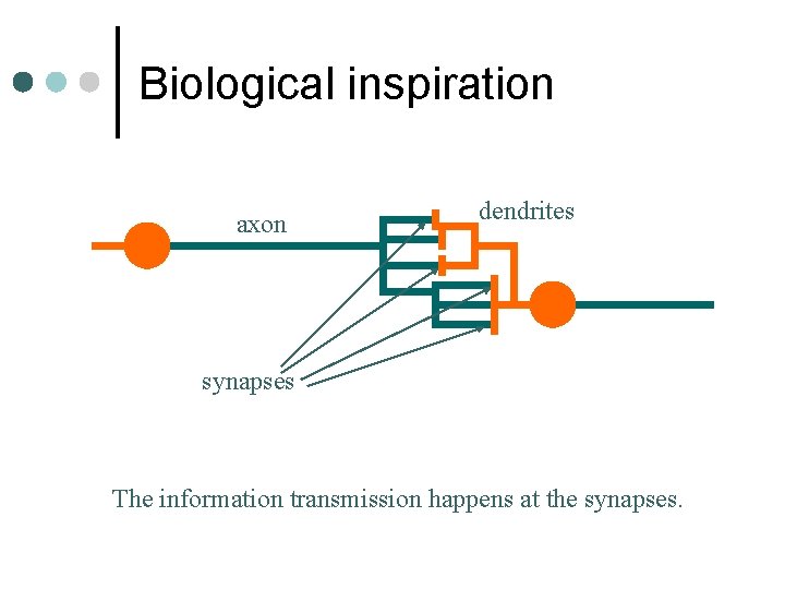 Biological inspiration axon dendrites synapses The information transmission happens at the synapses. 