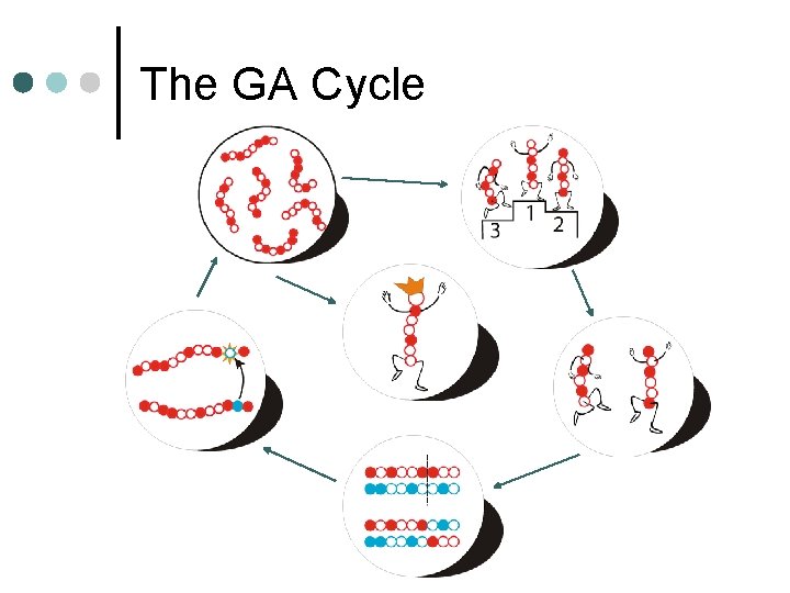 The GA Cycle 