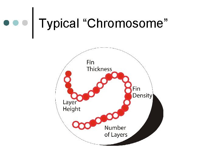 Typical “Chromosome” 