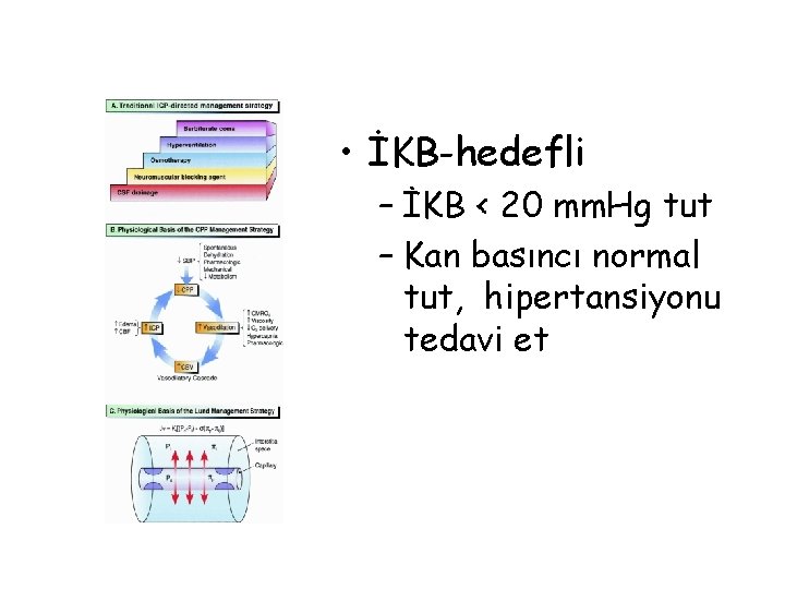  • İKB-hedefli – İKB < 20 mm. Hg tut – Kan basıncı normal