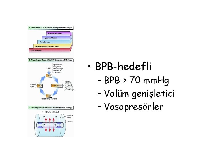  • BPB-hedefli – BPB > 70 mm. Hg – Volüm genişletici – Vasopresörler