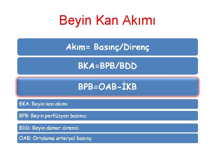 Beyin Kan Akımı 