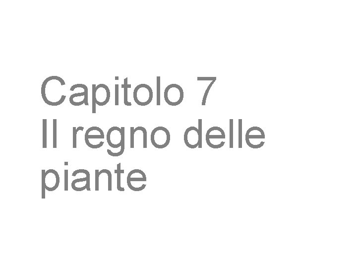 Capitolo 7 Il regno delle piante 