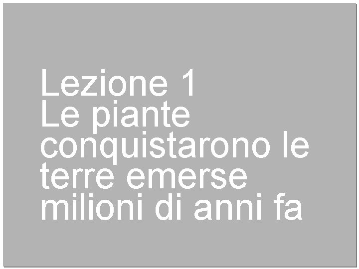 Lezione 1 Le piante conquistarono le terre emerse milioni di anni fa 