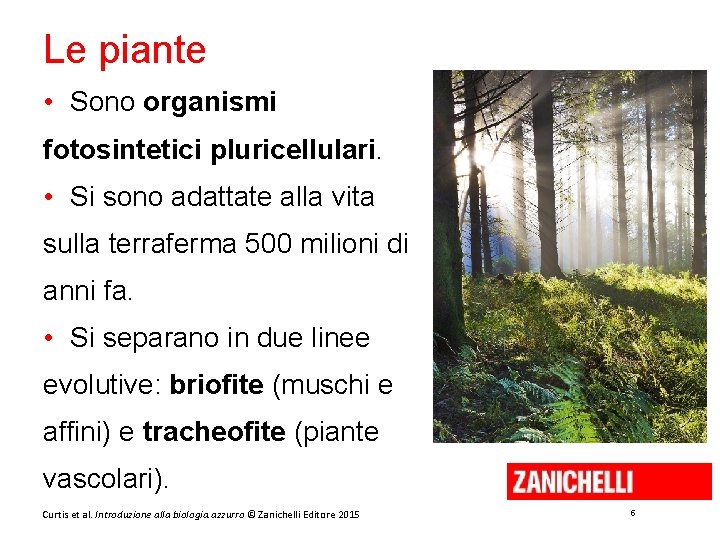 Le piante • Sono organismi fotosintetici pluricellulari. • Si sono adattate alla vita sulla