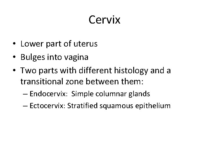 Cervix • Lower part of uterus • Bulges into vagina • Two parts with